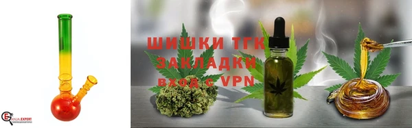 молекула духа Ахтубинск