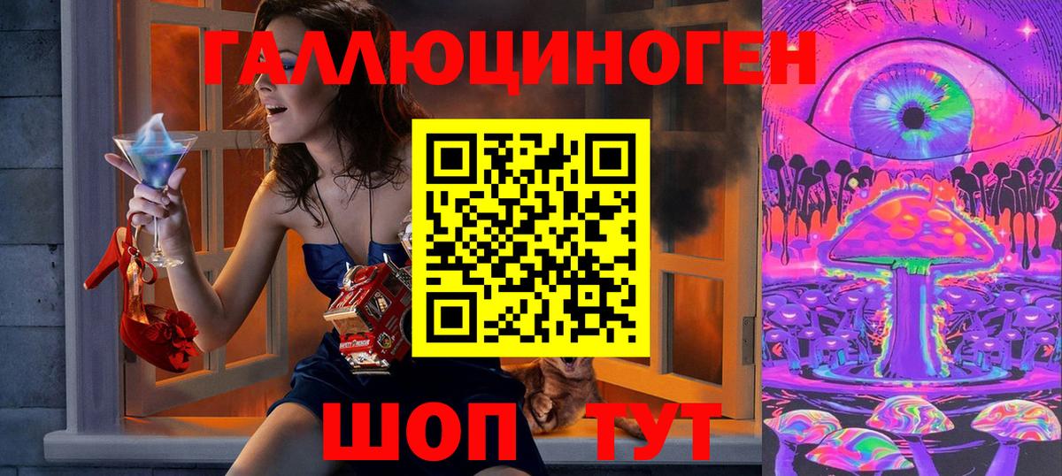 Псилоцибиновые грибы Psilocybine cubensis  Кондопога 