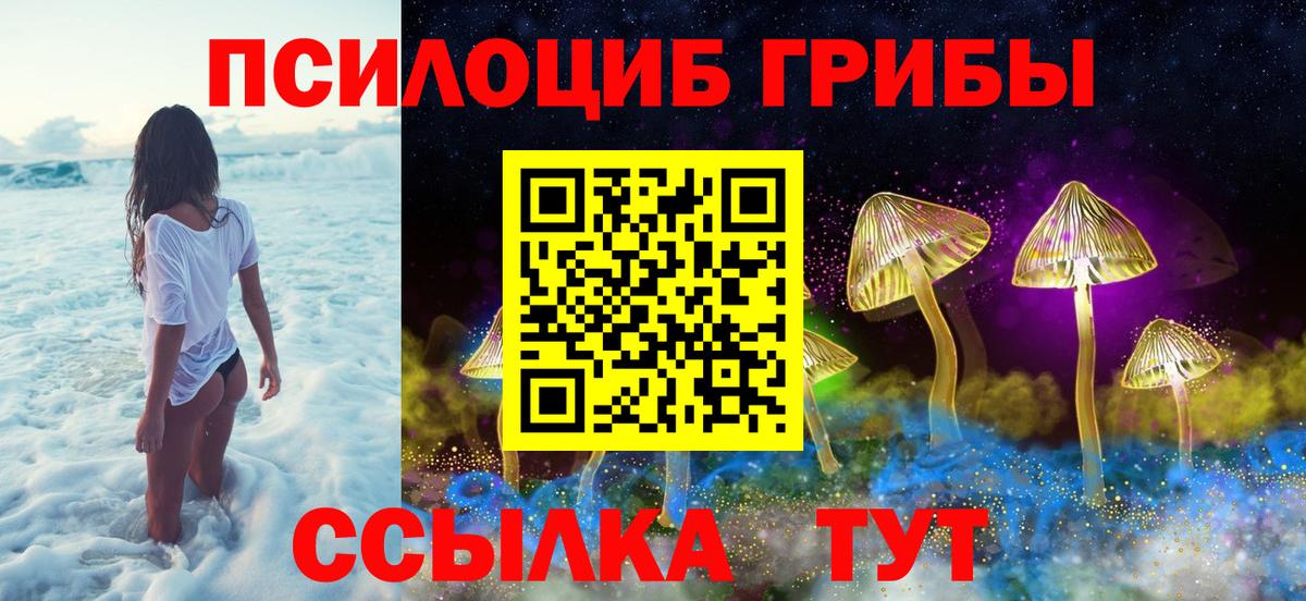 Псилоцибиновые грибы MAGIC MUSHROOMS Кондопога