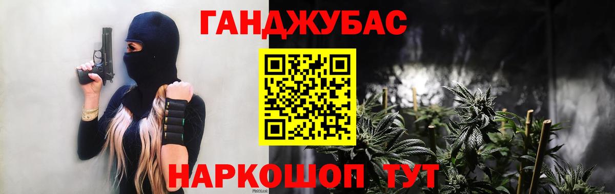 Конопля гибрид Кондопога